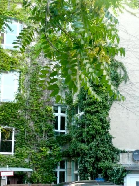 City * Berlim